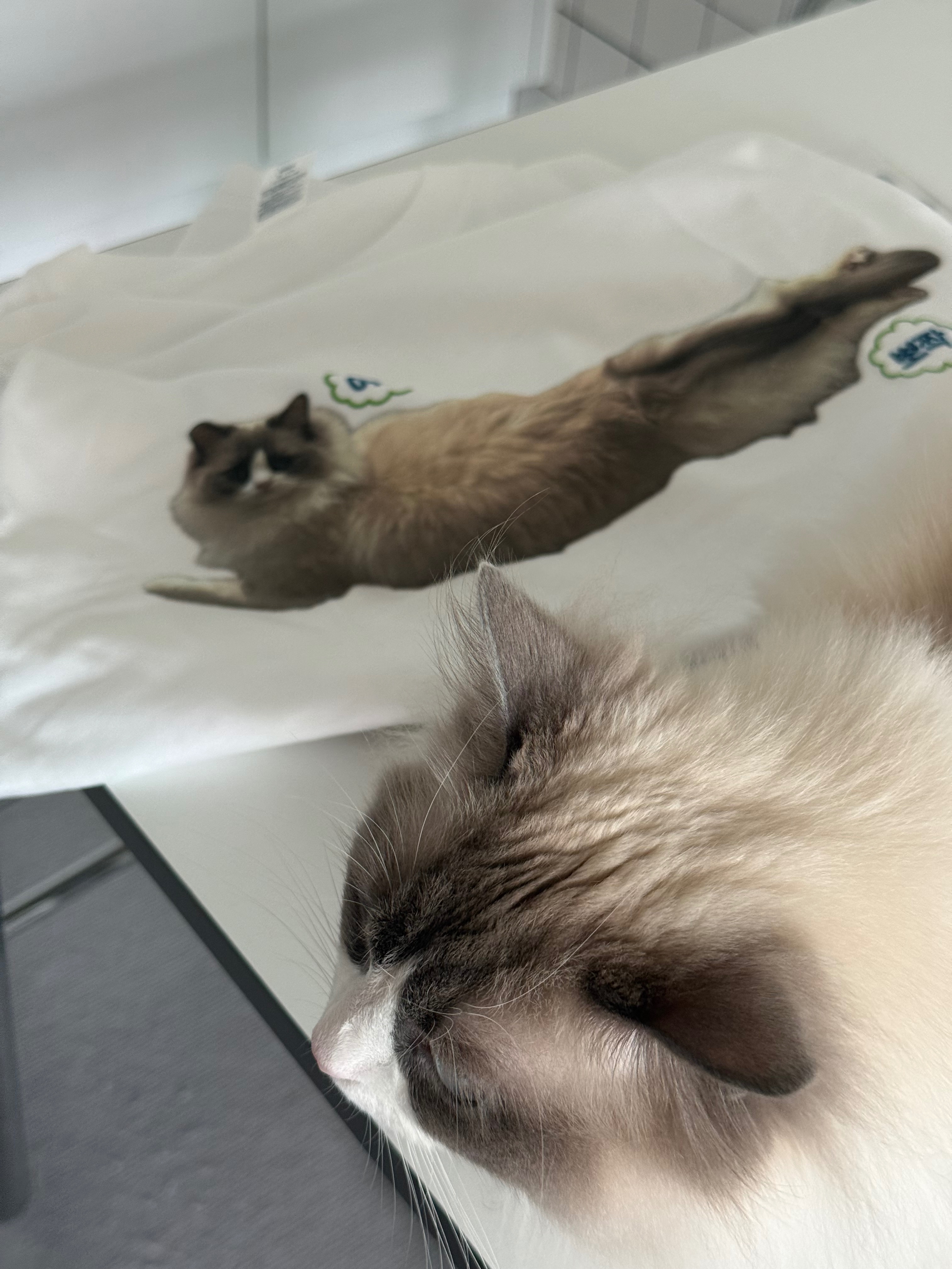 review
